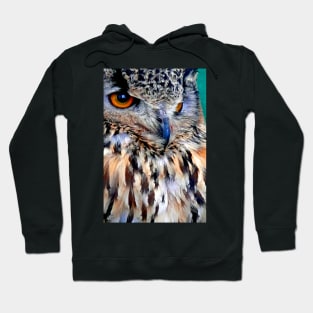 European Eagle Owl Bird of Prey Hoodie